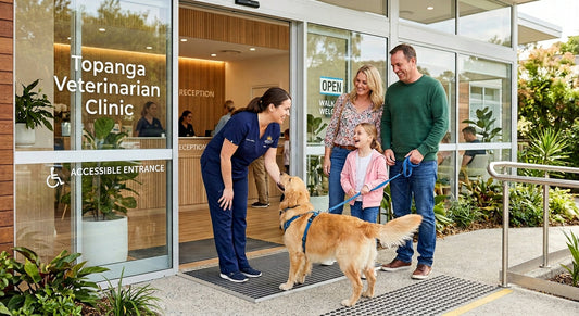 Affordable Pet Clinic Winnetka Ave Quality Low Cost Vet Care
