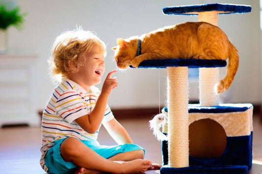 How to Create a Pet-Friendly Home Environment