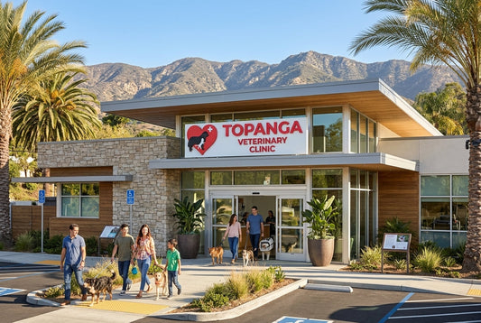Best Veterinary Clinic Los Angeles