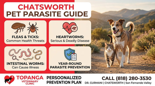 Pet Parasites Chatsworth: Complete Guide to Fleas, Ticks, Heartworms & Worms