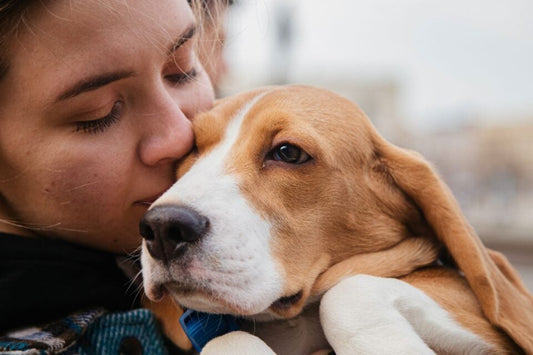 Emergency First Aid for Pets: Acting Quickly to Protect Your Pet’s Life