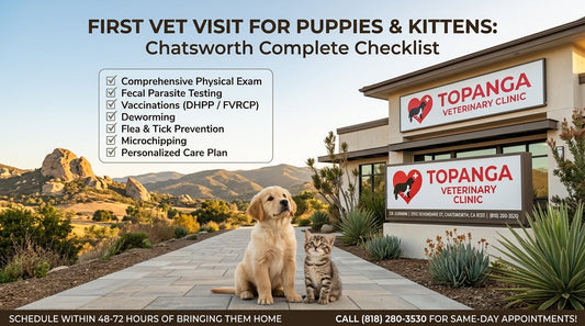 First Vet Visit for Puppies & Kittens Chatsworth: Complete Checklist from Topanga Veterinary Clinic