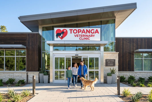 How To Choose The Best Animal Hospital For Your Pets Health