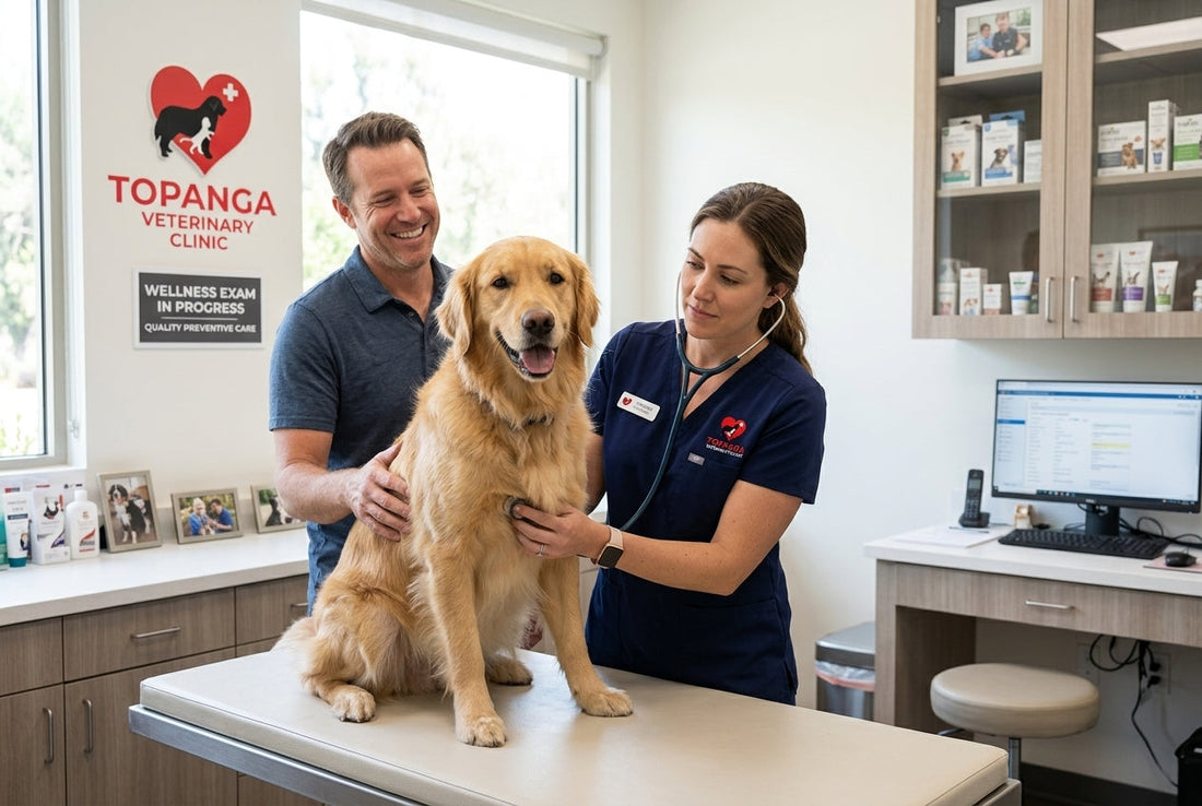 The Importance of Regular Vet Check-ups for Your Pet’s Health