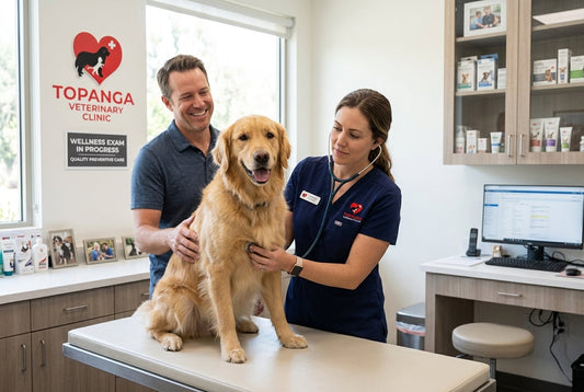 The Importance of Regular Vet Check-ups for Your Pet’s Health