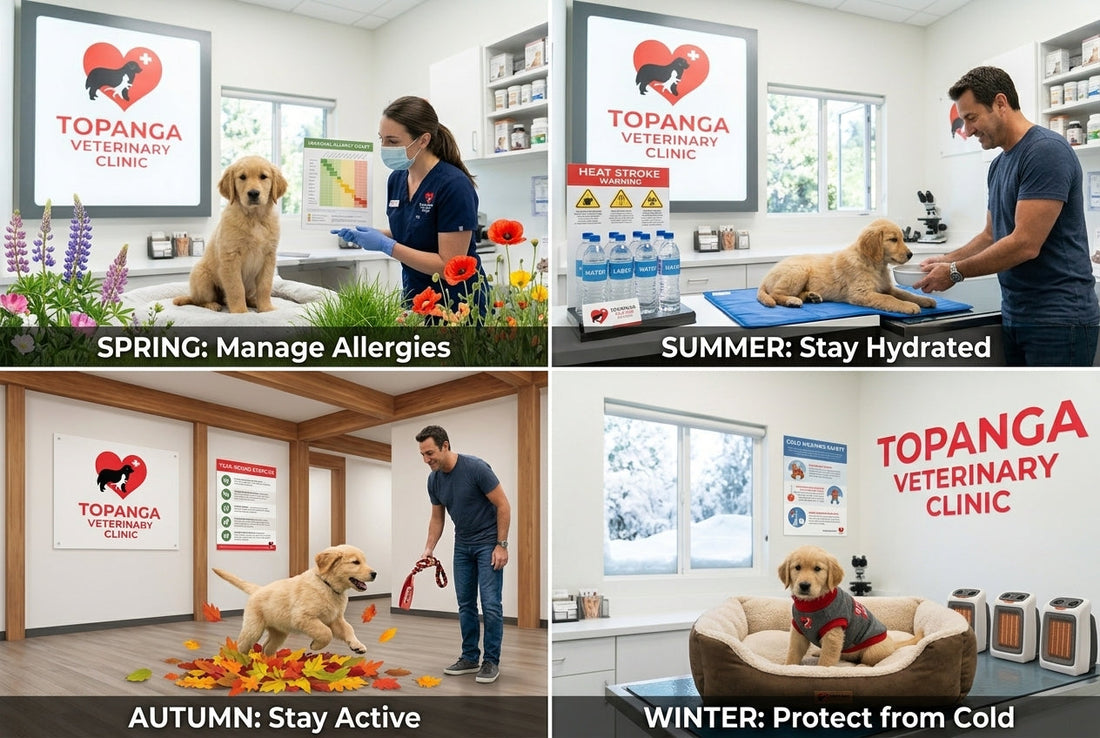 Seasonal Pet Care Tips: Keeping Your Pet Healthy All Year Round
