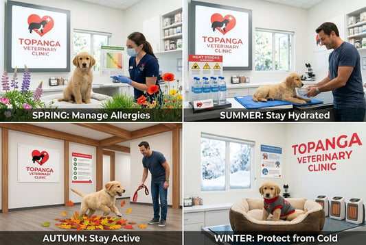 Seasonal Pet Care Tips: Keeping Your Pet Healthy All Year Round