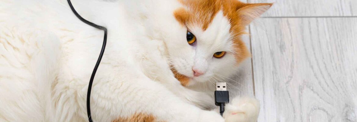 Protecting Pets from