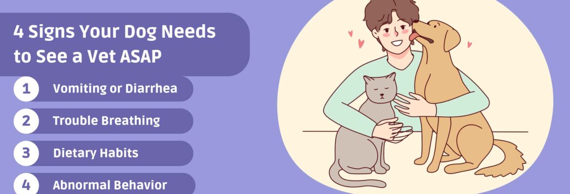 4 Signs Your Dog Needs to See a Vet ASA_11zon