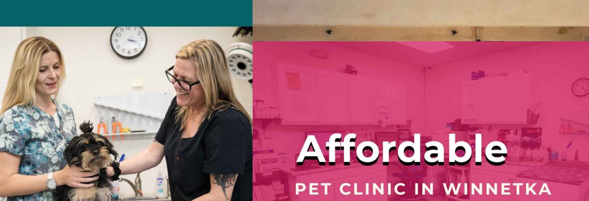 Affordable Pet Clinic in Winnetka