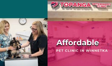 Affordable Pet Clinic in Winnetka