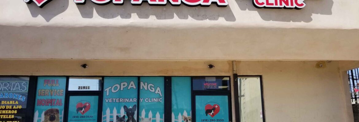 Walk-In Vet Clinic in Winnetka Ave, LA | Pet Health Care