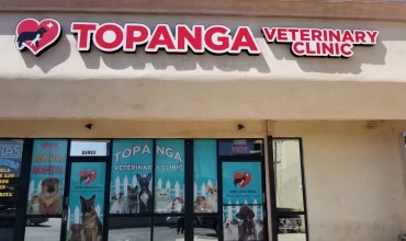 veterinary clinic in Los Angeles