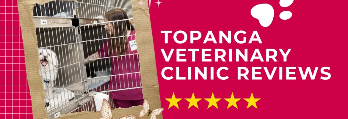 Topanga Veterinary Clinic Reviews