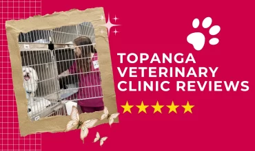 Topanga Veterinary Clinic Reviews