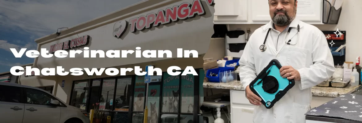 Veterinarian In Chatsworth CA