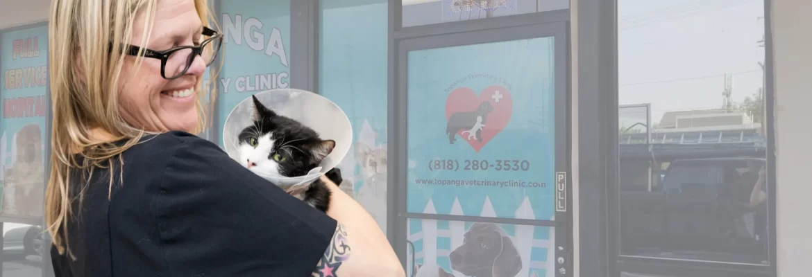 vet surgery at Chatsworth